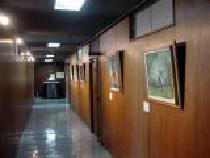廊下の右側の壁に、額に入った作品が展示されている写真