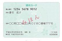 通知カードの見本