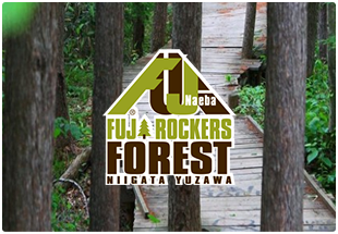 FUJI ROCKERS FOREST