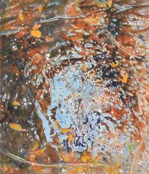 川に沈んだ葉っぱが川の流れで反射して光っているような作品の写真