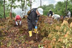 町長による植樹の様子