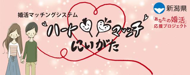 婚活マッチングシステムハートマッチにいがた新潟県「あなたの婚活」応援プロジェクト
